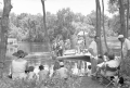 Spectators watching crew work on floating platform during filming of the "Revenge of the Creature" movie at Silver Springs.