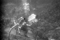 Underwater film crew on set of "Revenge of the Creature" at Silver Springs.