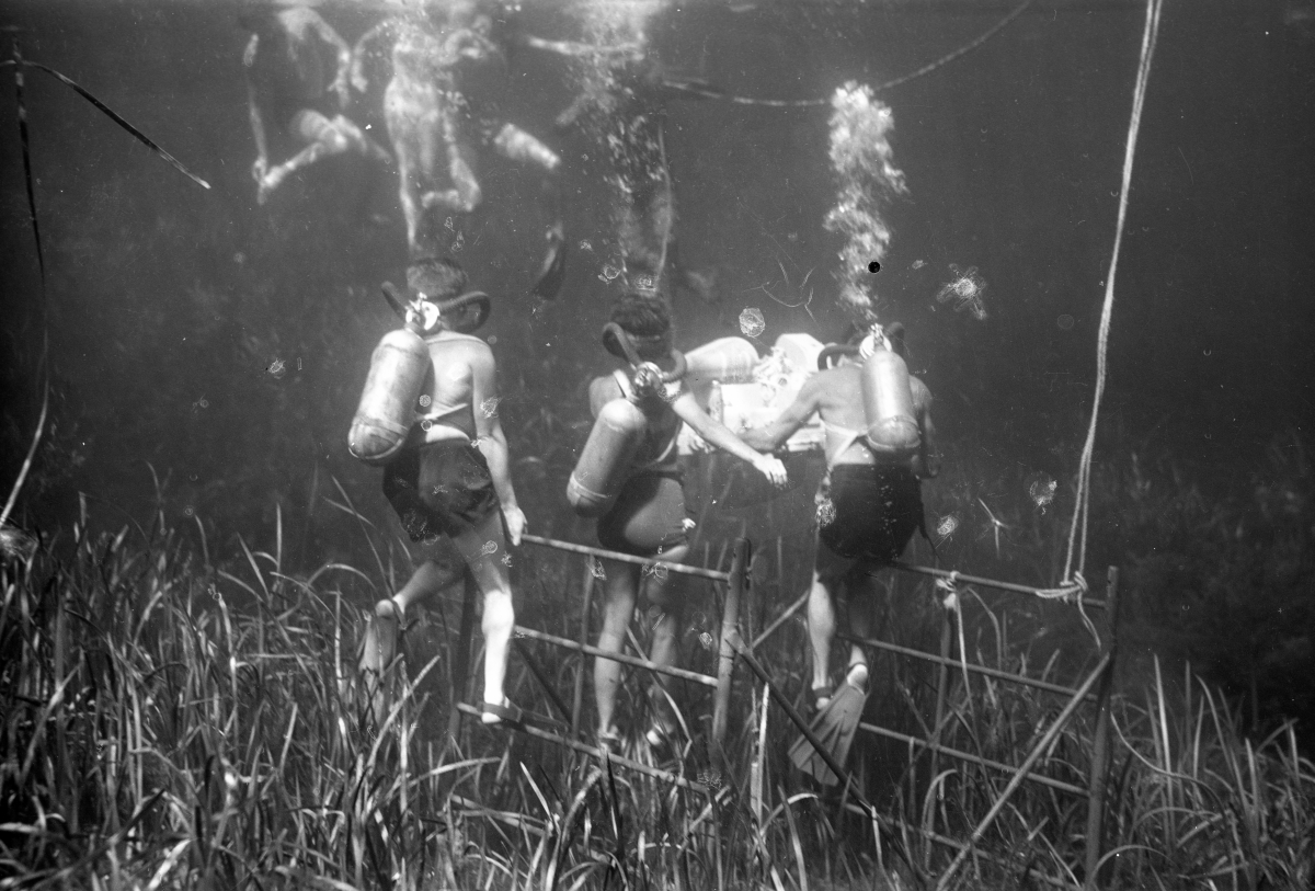 Underwater film crew on set of "Revenge of the Creature" at Silver Springs.