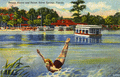 Beauty Above and Below, Silver Springs, Florida.