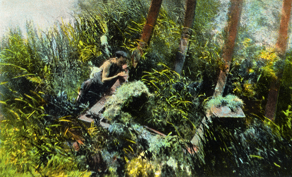 An under water picture of Silver Springs, Fla., the under water fairyland in the kingdom of the sun.