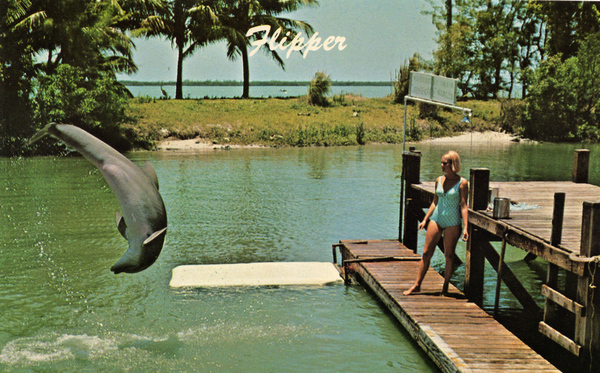 Flipper performing at Miami Seaquarium.
