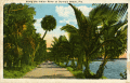 Along the Indian River at Olympia Beach, Fla.
