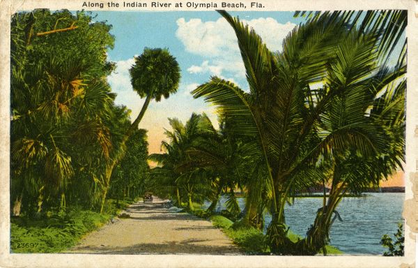 Along the Indian River at Olympia Beach, Fla.