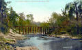 At lover's leap on the Suwannee River, Florida.