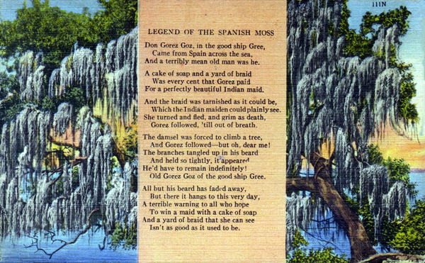 Postcard with the legend of the Spanish moss (ca. 1950).