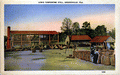 Lewis turpentine still - Brooksville, Florida