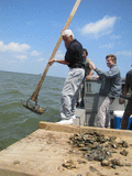 Governor Charlie Crist tonging for oysters in Apalachicola Bay as FDLE security agent Chris Pate reaches to steady him.