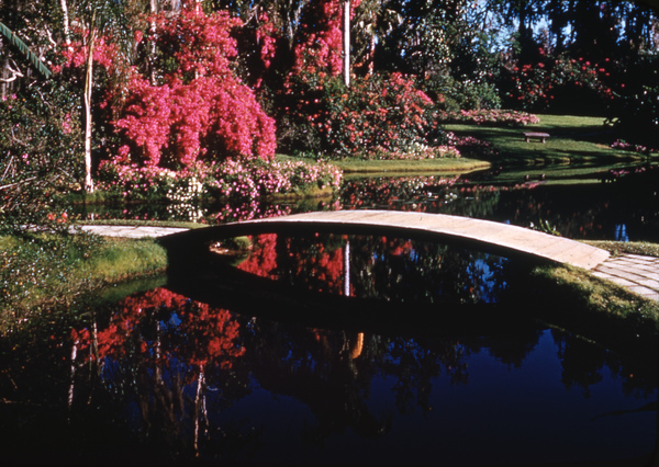 A bridge at Cypress Gardens, one of the most frequently photographed angles (circa 1950s).