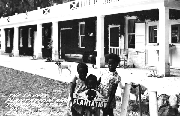 Lewis Plantation and turpentine still on U.S. 41 - Brooksville, Florida