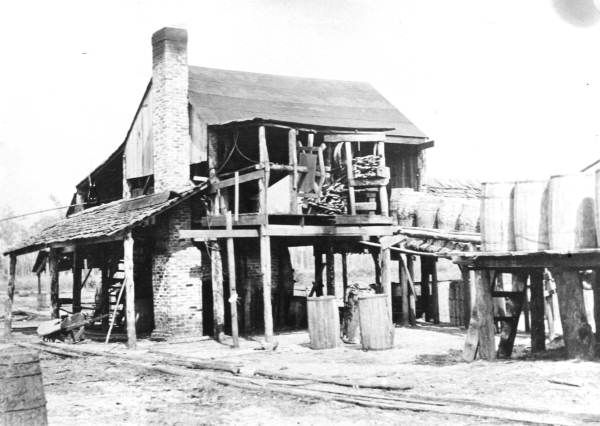 Flint and Bethea's Turpentine Still