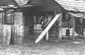 Cooper shop at a turpentine still