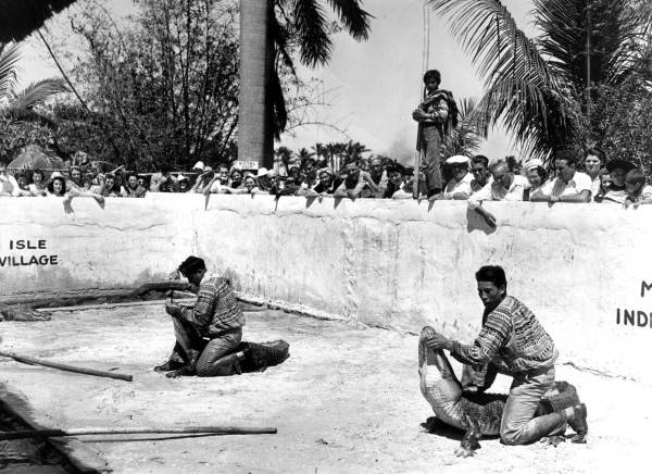 Seminole Indians wrestling alligators: Musa Isle, Miami, Florida (ca. 1940s)