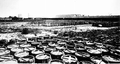 Barrels of turpentine : Nassau County, Florida.