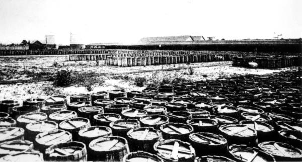 Barrels of turpentine : Nassau County, Florida.