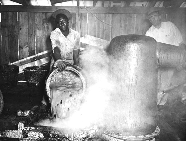 Making turpentine