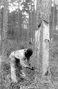 Hacking turpentine