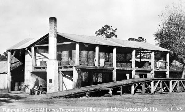 Lewis Plantation turpentine still - Brooksville, Florida