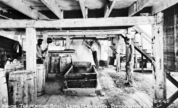 Lewis Plantation turpentine still interior - Brooksville, Florida