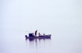 People harvesting oysters - Apalachicola Bay, Florida.