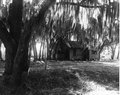 Cabin in the woods - Silver Springs, Florida .