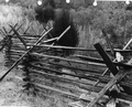 Close up of a fence - Silver Glen Springs