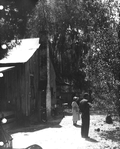 Couple standing outside cabin