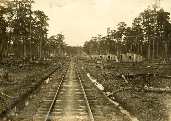 Gulf, Florida & Alabama Railway Company turpentine camp.