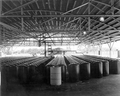 Drums of wood rosin await shipment at Gulf Naval Stores Company - Nocatee, Florida.