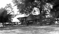 Front view of a turpentine still - Leon County, Florida