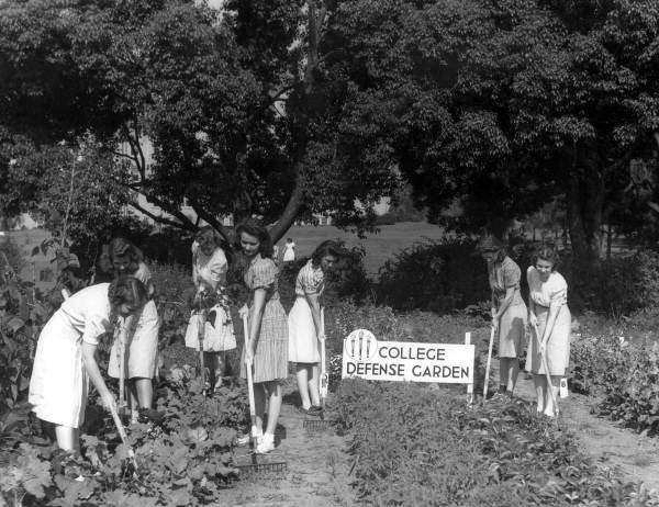 Florida State College for Women students in the "College Defense Garden" - Tallahassee, Florida.