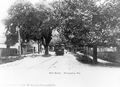 Ash Street - Fernandina, Florida
