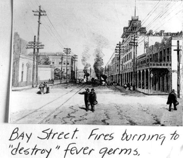 Pinewood fires burning in the middle of Bay Street in Jacksonville, which it was believed would purify the air (1888).