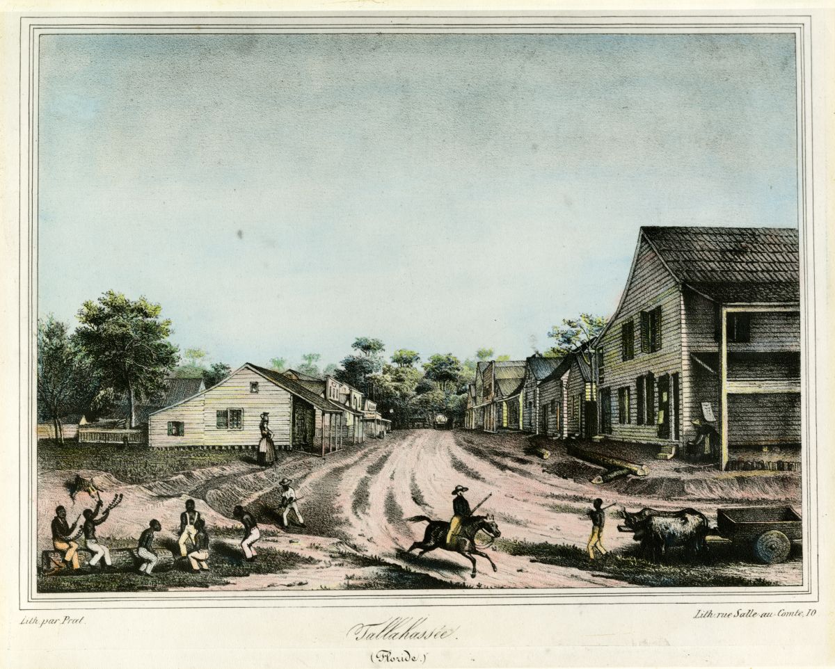 Lithograph of a residential street scene in Tallahassee, Florida