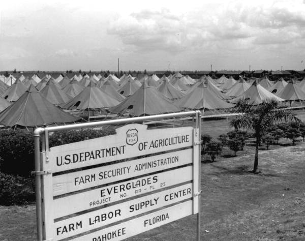 Tent housing for migrant workers provided the Farm Security Administration - Pahokee, Florida.