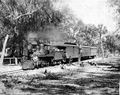 Arrival of first passenger train pulled by engine #3 "Bulow" - Daytona Beach, Florida