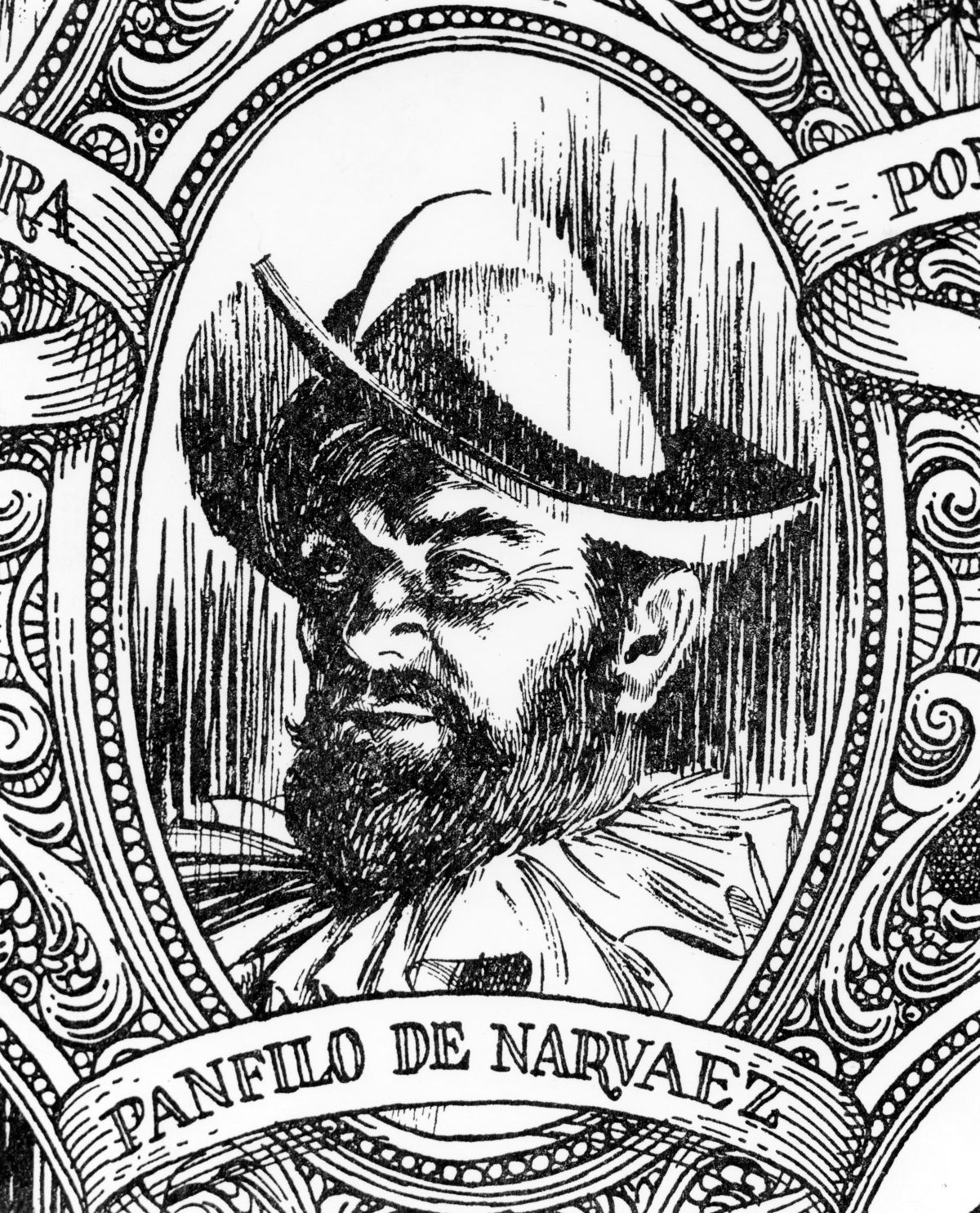 Drawing of Panfilo de Narvaez.