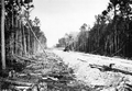 Atlantic Coast Line Railroad graded fill for construction