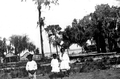 Children of turpentine still workers - Lake Alfred, Florida