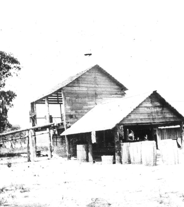 Morrison Brothers Turpentine Still at Lake Alfred