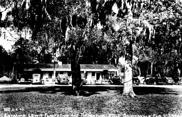 Lewis Plantation restaurant and turpentine still- Brooksville, Florida
