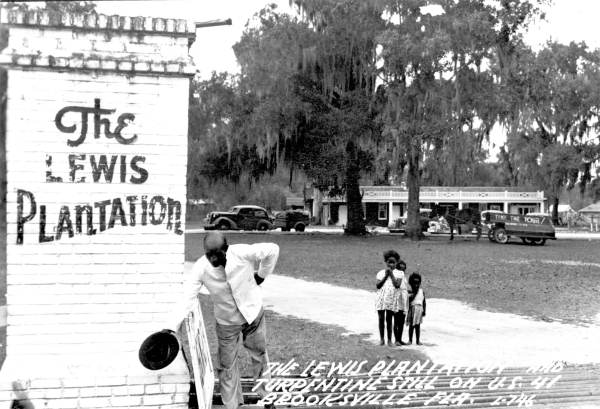 The front gate of the Lewis Plantation (1930s).