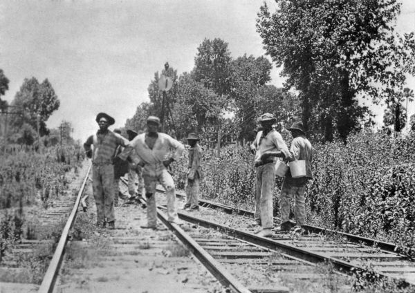 Convict labor working along railroad tracks - Volusia County, Florida