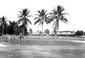Amtrak train by golfers on course - Hollywood, Florida