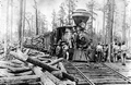 Bagdad Land & Lumber Company logging engine #3 derailed - Svea, Florida