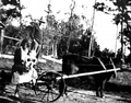 Midwife and small child riding an ox drawn wagon