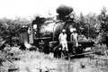 Alger-Sullivan Lumber Company steam engine #100 - Century Region, Florida