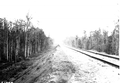 Atlantic Coast Line Railroad tracks along graded fill