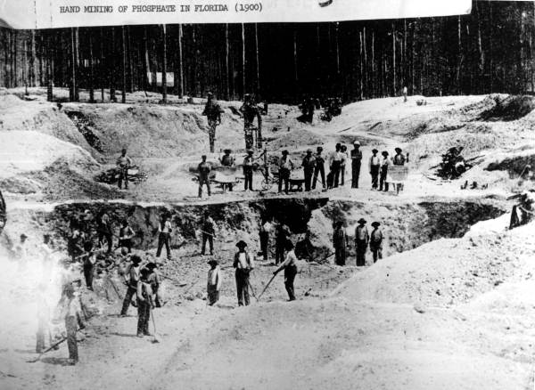 Hand mining phosphates (1900).