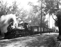 Atlantic Coast Line Railroad steam engine 555 - Gainesville, Florida.